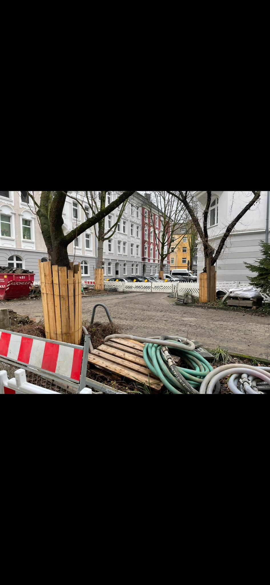 Professioneller Baumschutz mit Werkzeug