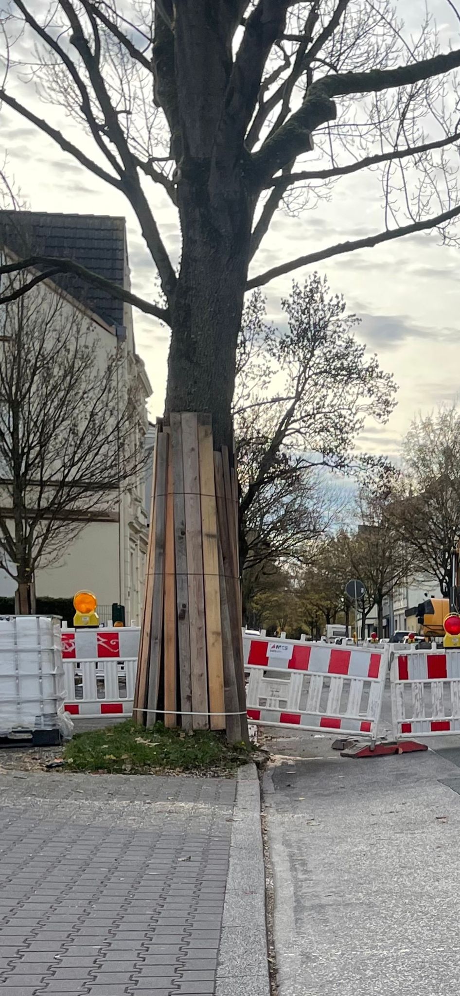 Professioneller Stammschutz mit Holzplanken auf einer Baustelle