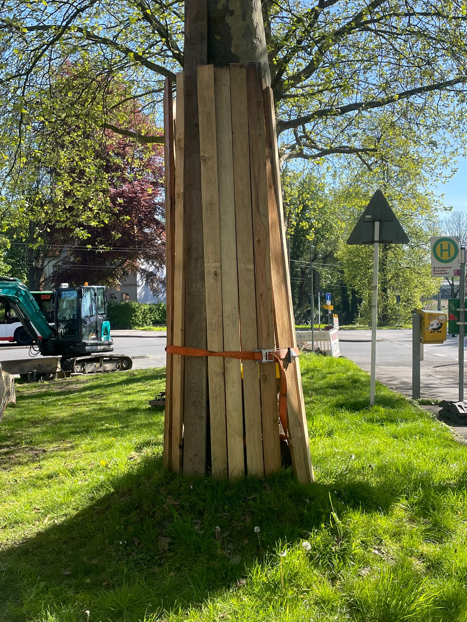 Oberirdischer Baumschutz