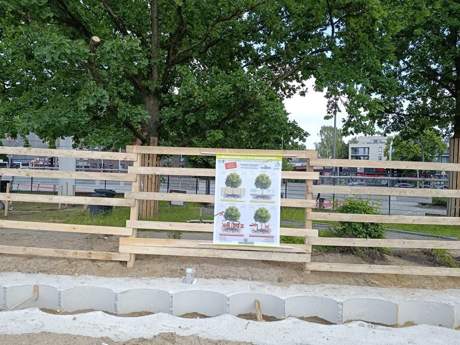 Stammschutzmaßnahmen nach RAS-LP 4
