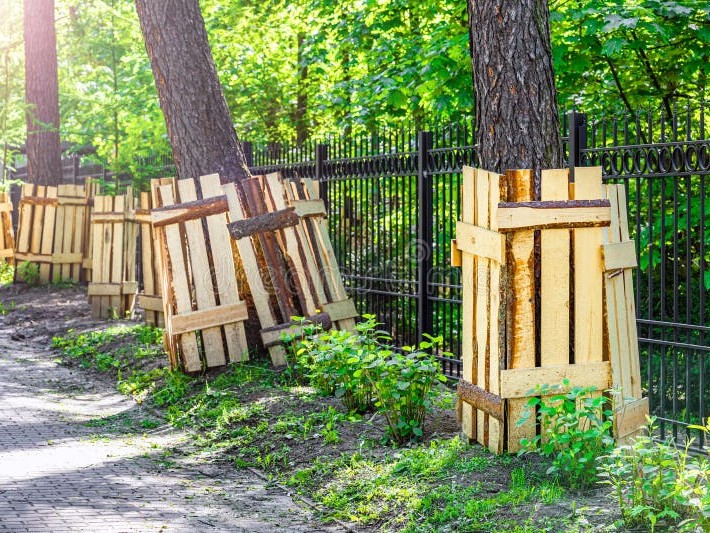 Holzplanken-Stammschutz im Stadtgebiet